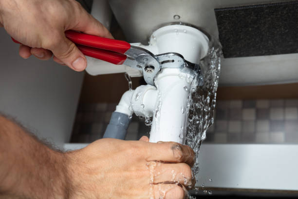 Best Water damage contractors near me  in Culver, IN