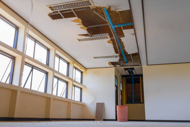 Best Carpet water damage restoration  in Culver, IN
