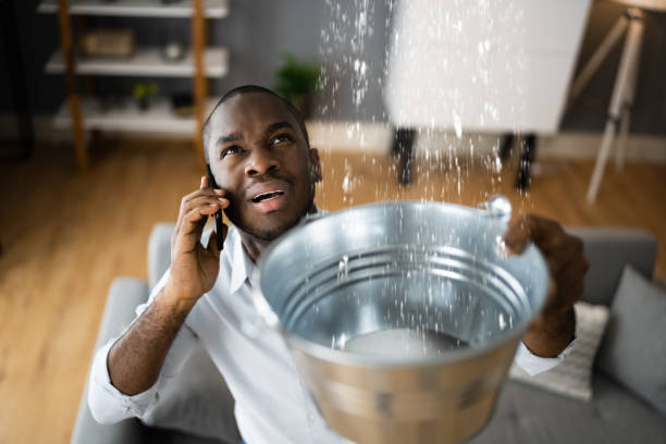 Best Water damage restoration experts  in Culver, IN