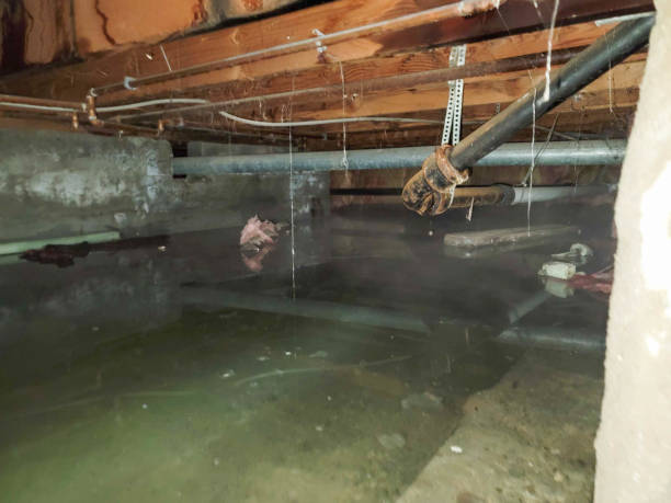  Culver, IN Water damage restoration Pros