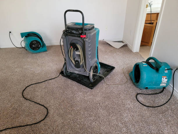 Best Water damage restoration near me  in Culver, IN