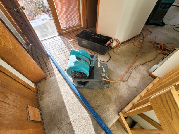 Best Ceiling water damage repair  in Culver, IN