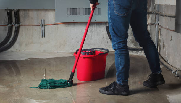 Water damage restoration experts in IN