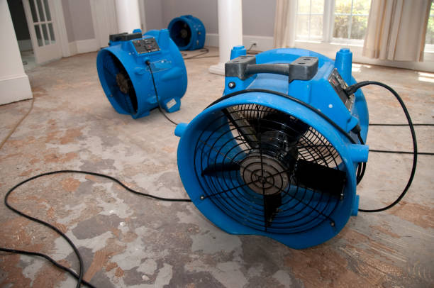 Best Basement water damage restoration  in Culver, IN
