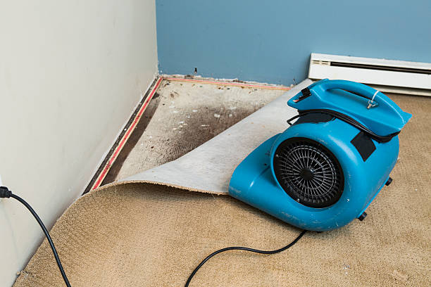 Best Sewage cleanup and water damage restoration  in Culver, IN